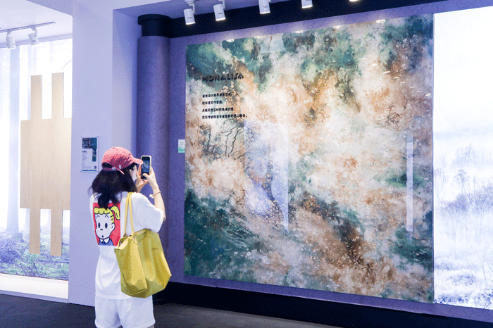 1xBET Signup(中国)-官方网站