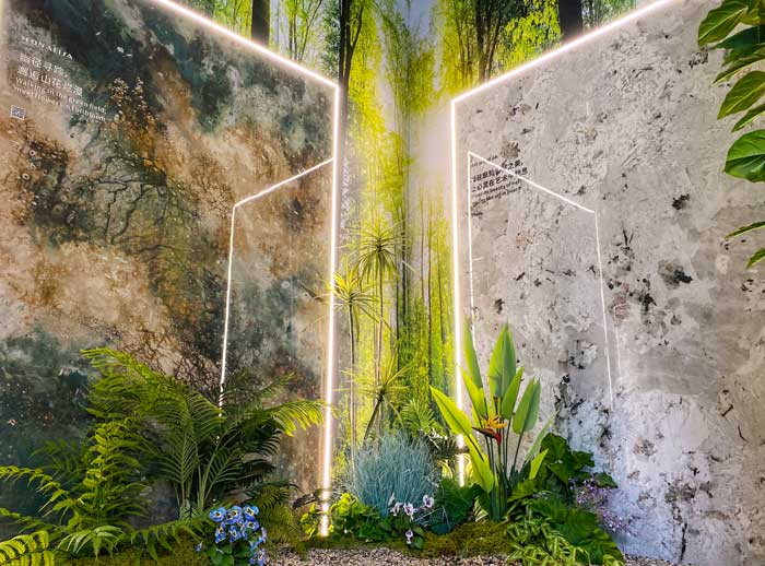 1xBET Signup(中国)-官方网站